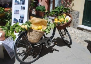 Sardinië citroenen in fietsmand