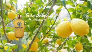 Limoncello LimonTino Sardinia Products