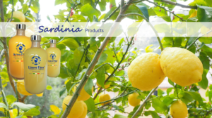 Limontino Limoncello Sardinia Products